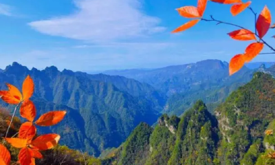 “仙山”，向世界讲述“美丽宣恩”故事