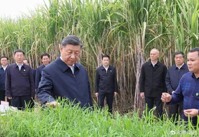 习近平在广西考察时强调 解放思想创新求变向海图强开放发展 奋力谱写中国式现代化广西篇章