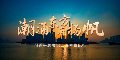时政微纪录丨潮涌东方再扬帆——习近平总书记上海考察纪行