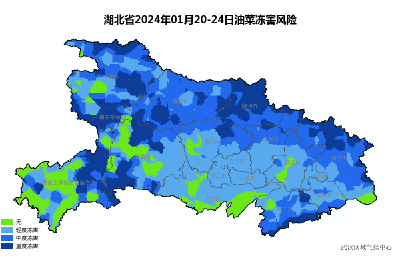 低温雨雪冰冻天气来袭！湖北农作物低温冻害风险较高 需加强防范