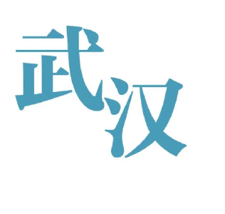 武汉，是什么？