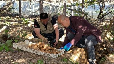《记住乡愁》第十季 | 今晚八点CCTV-4首播《九资河——千年药乡焕新颜》