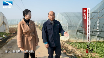 《是这个理》：守护美好“食”光