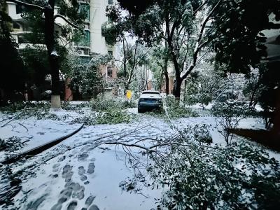 大雪、大雾、冰冻！出行紧急提醒！