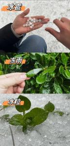 武汉冰粒还会下多久？霰是大雪的前兆？气象专家回应