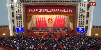 独家视频丨十四届全国人大二次会议举行第二次全体会议 习近平等党和国家领导人出席