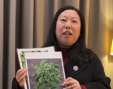 ​两会行李箱丨全国人大代表沈艳芬：带着“硒”望的种子走入春天