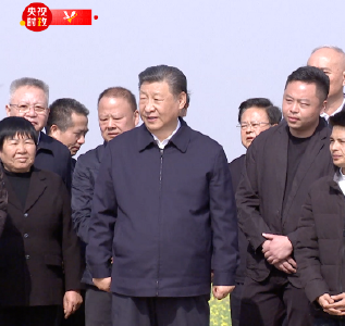 独家视频丨粮食安全 中国饭碗 总书记心中的“国之大者”