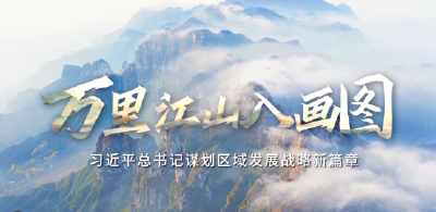 时政微纪录丨万里江山入画图——习近平总书记谋划区域发展战略新篇章