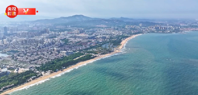 独家视频丨习近平在山东日照市考察调研