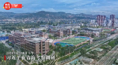 独家视频丨习近平在青海考察调研