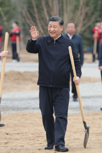 时政微视频丨防沙治沙，久久为功