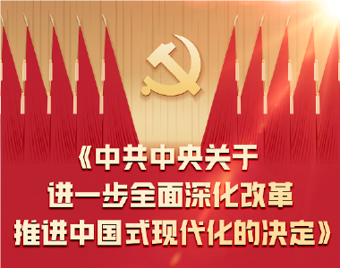 一图全解二十届三中全会《决定》