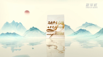 视频画报｜习近平主席的哈萨克斯坦情谊