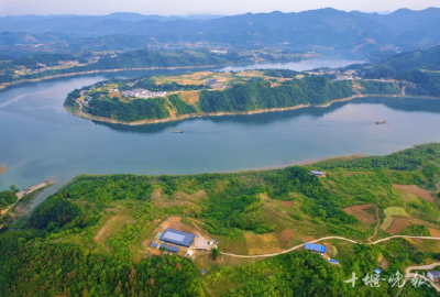 骄傲！十堰这项重磅发现，写入历史教科书