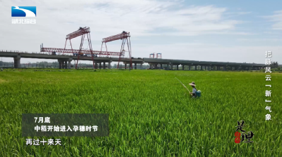 《是这个理》：把脉风云“新”气象