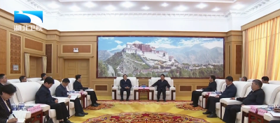 湖北省党政代表团赴西藏学习考察湖北省党政代表团赴西藏学习考察