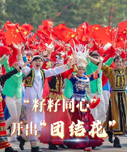联播观察｜“籽籽同心” 开出“团结花”