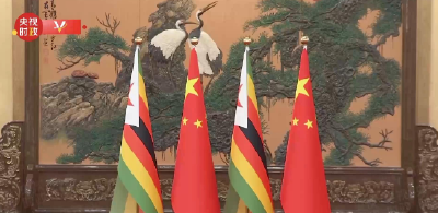 独家视频丨习近平同津巴布韦总统姆南加古瓦会谈