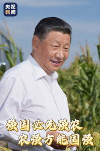 时政微视频丨强国必先强农
