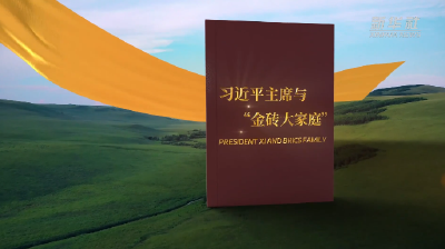 视频画报｜习近平主席与“金砖大家庭”