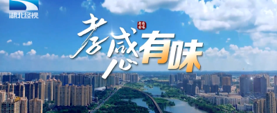 第三集 孝感有味·白花菜烧鱼头