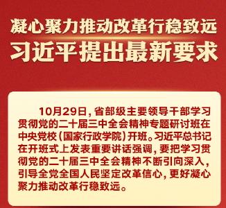 凝心聚力推动改革行稳致远，习近平提出最新要求