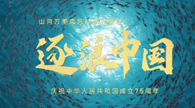 逐浪中国