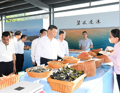热解读｜这篇“海”的文章 蕴藏着中国乡村振兴密码 