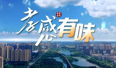 第六集 老孝感炖三鲜