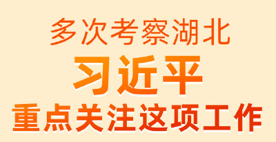  多次考察湖北 习近平重点关注这项工作 