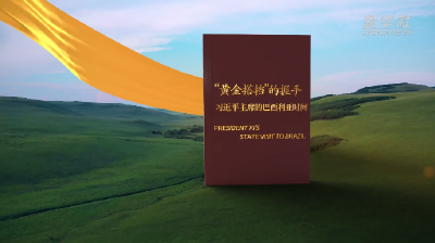 视频画报｜“黄金搭档”的握手——习近平主席的巴西利亚时间
