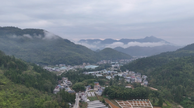 【你好！新乡村】恩施来凤：发展循环农业产业 实现“生态”“经济”双赢
