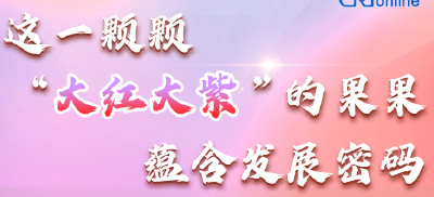 【讲习所·中国与世界】这一颗颗“大红大紫”的果果蕴含发展密码