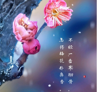 AI绘节气 | 小寒：愿你三冬暖 许你春不寒