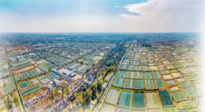 接住这一波大流量，仙桃很拼！