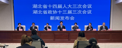 湖北如何加快建成支点，代表委员来支招
