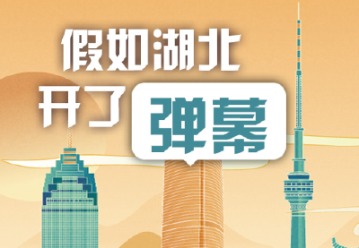 假如湖北开了弹幕