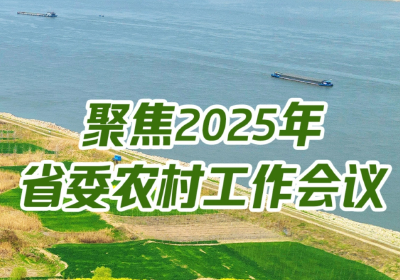 聚焦2025年湖北省委农村工作会议
