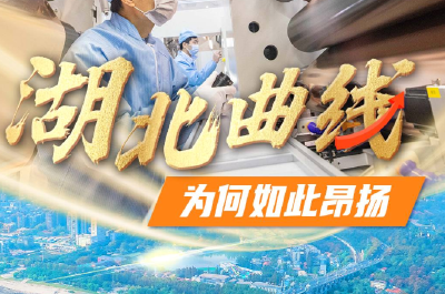 “湖北曲线”为何如此昂扬