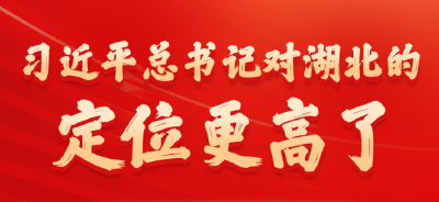 拼！抢！进！湖北这样建支点