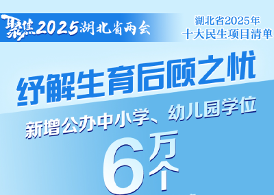 2025年，湖北“头等大事”定了！