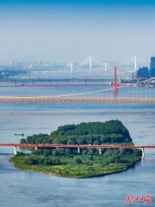 强化龙头担当、奋力走在前列，省两会代表委员热议在支点建设中的武汉重任