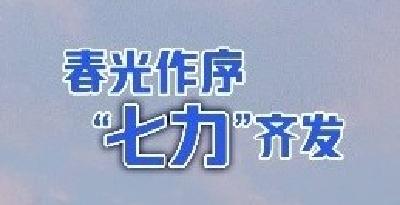 春光作序 “七力”齐发