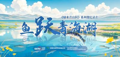 绿水青山间｜鱼跃青海湖