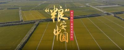 学习知行·中国式现代化丨“粮”安中国