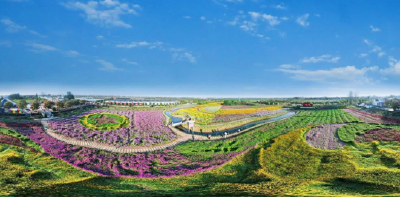 走，在天门来一场“和美乡村”之旅！