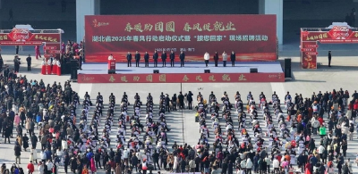 极目锐评丨湖北春光无限好，返乡创业正当时