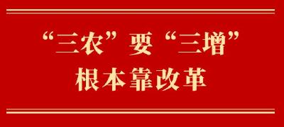 第一观察｜“三农”要“三增”　根本靠改革