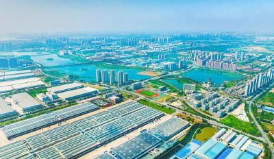 2025，鄂州锚定“六个聚焦”勇争一流